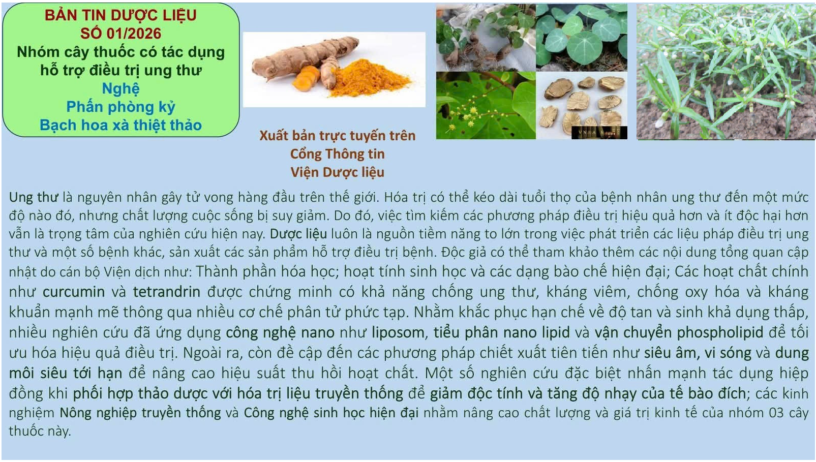 Không có ảnh